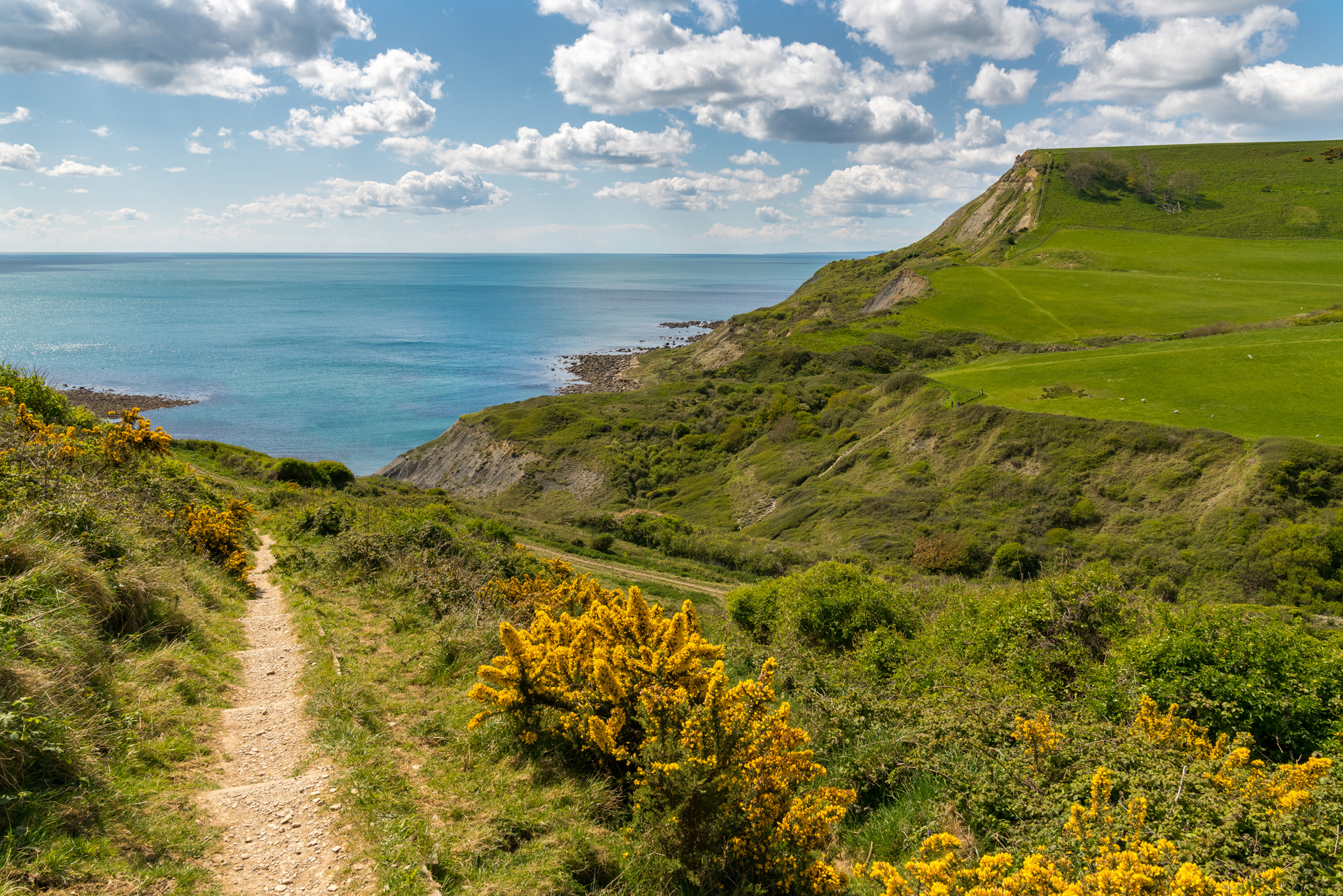 A path to the sea Near Chapman's Pool, Jurassic Coast, Dorset, UK