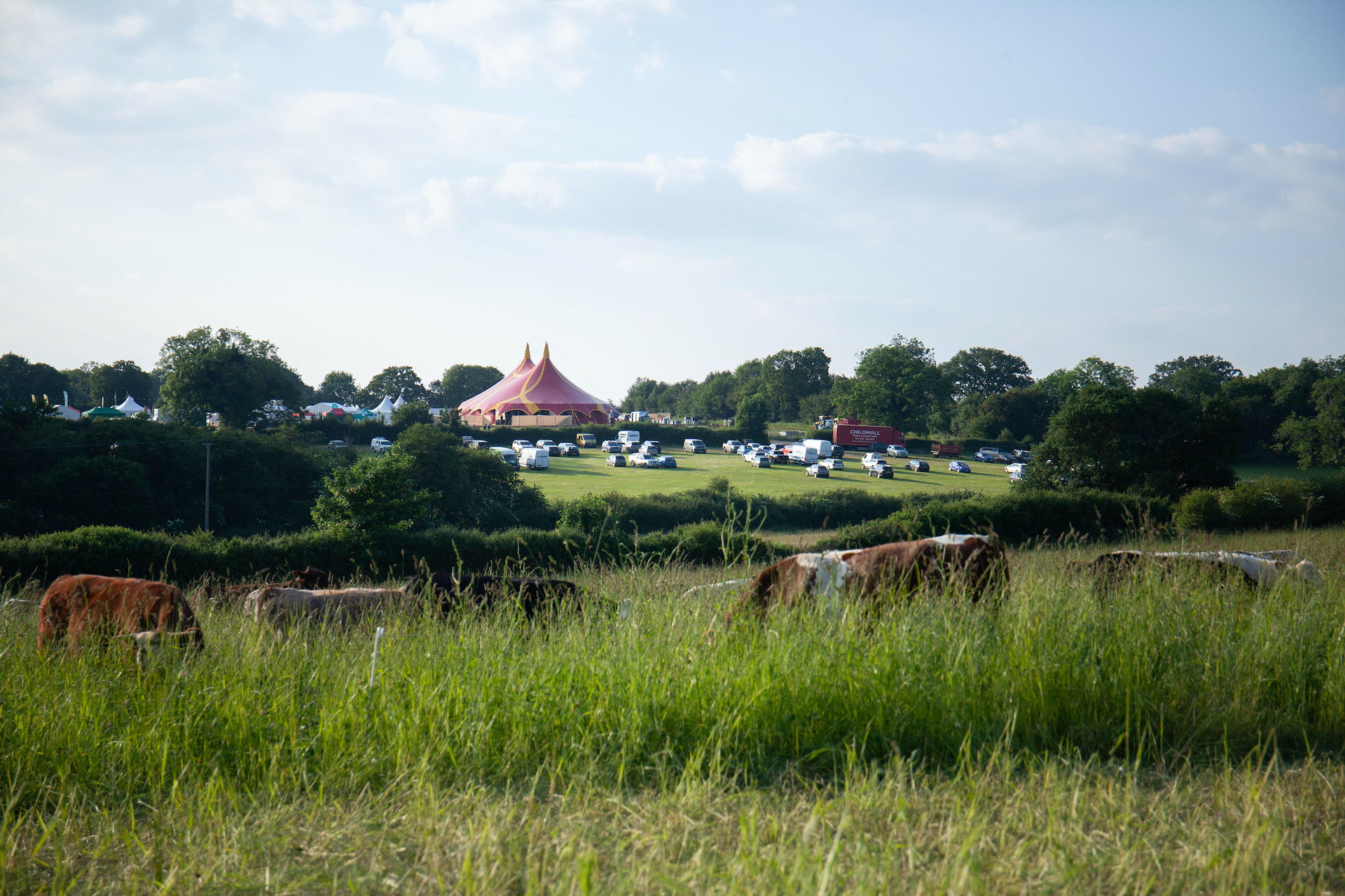 Groundswell regenerative farming