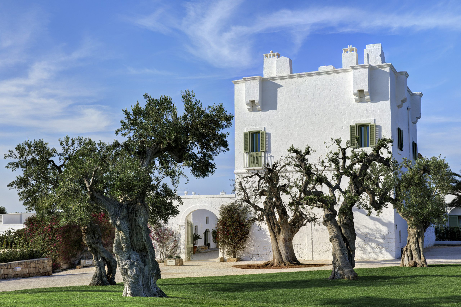 White washed hotel with olive trees in front
