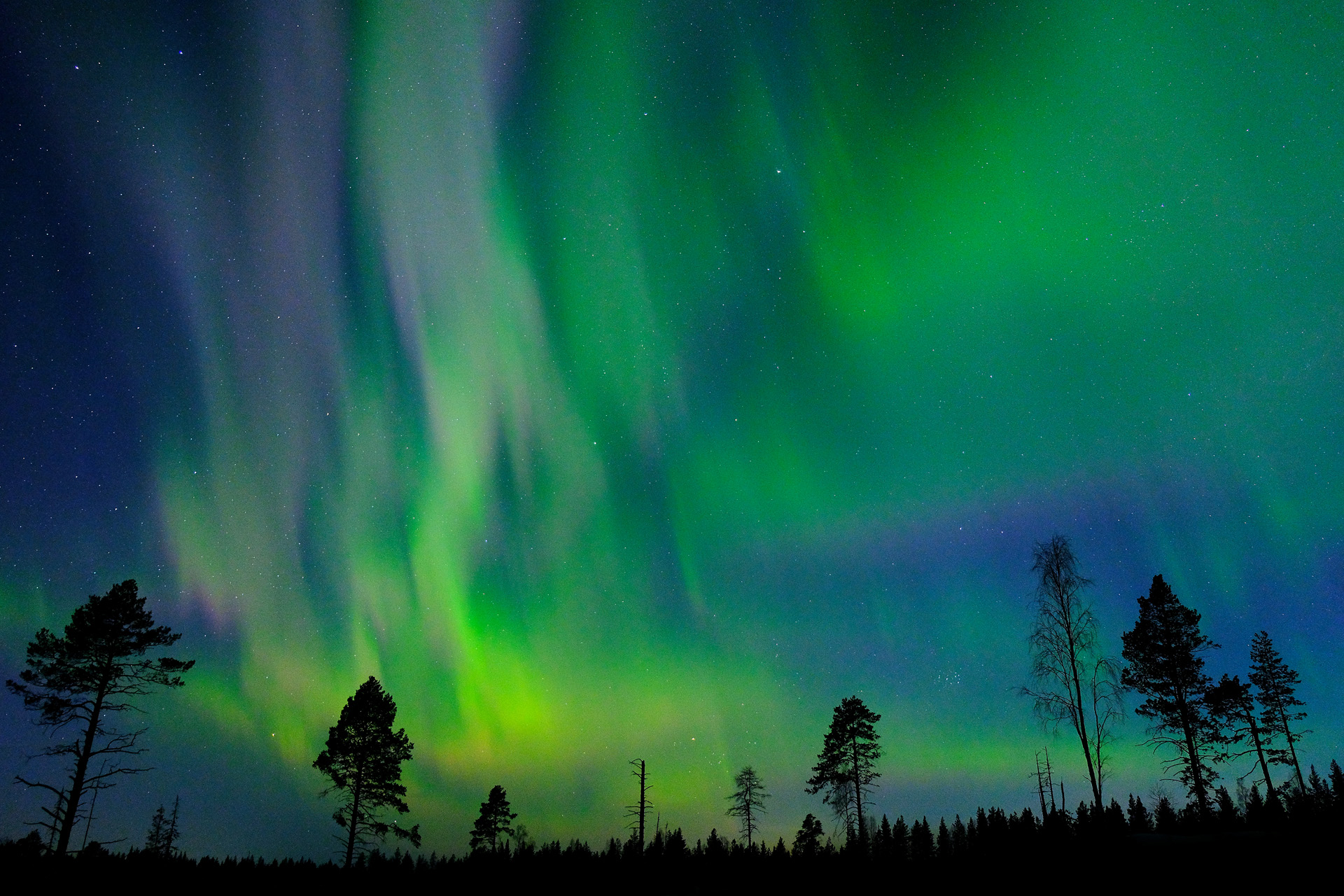 Northern lights near Brandon Lodge, Lulea