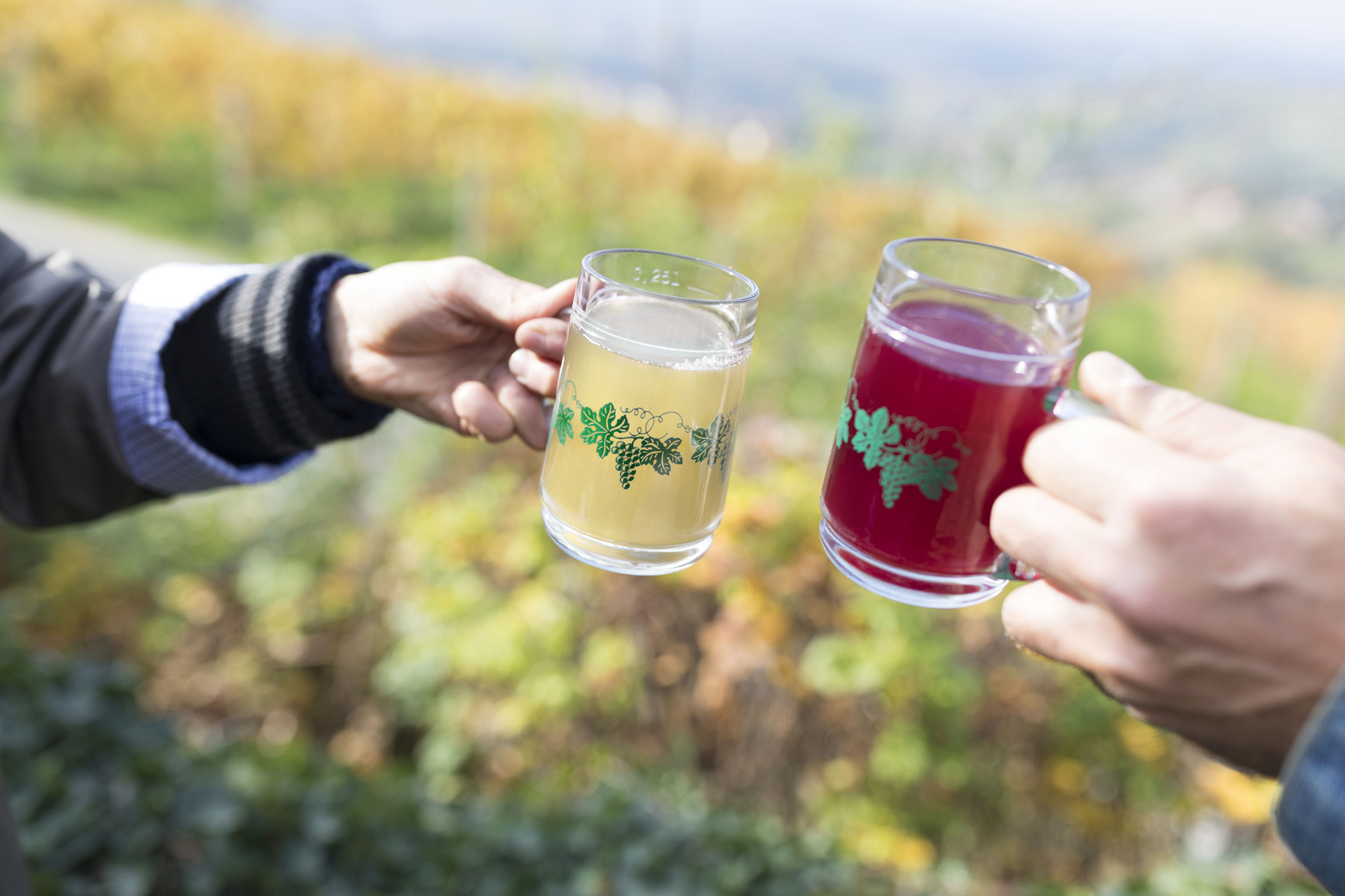 two people clinking glasses of sturm in Austria