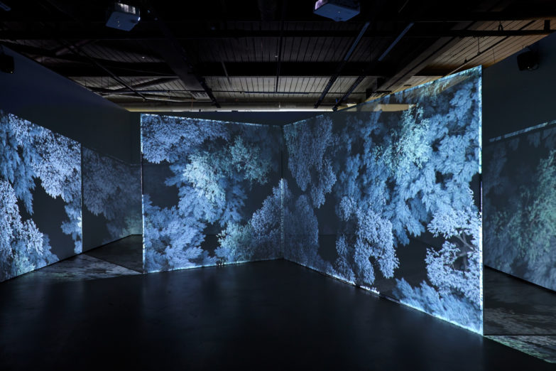 EcoConscious Exhibitions & Art Shows in the UK Culture