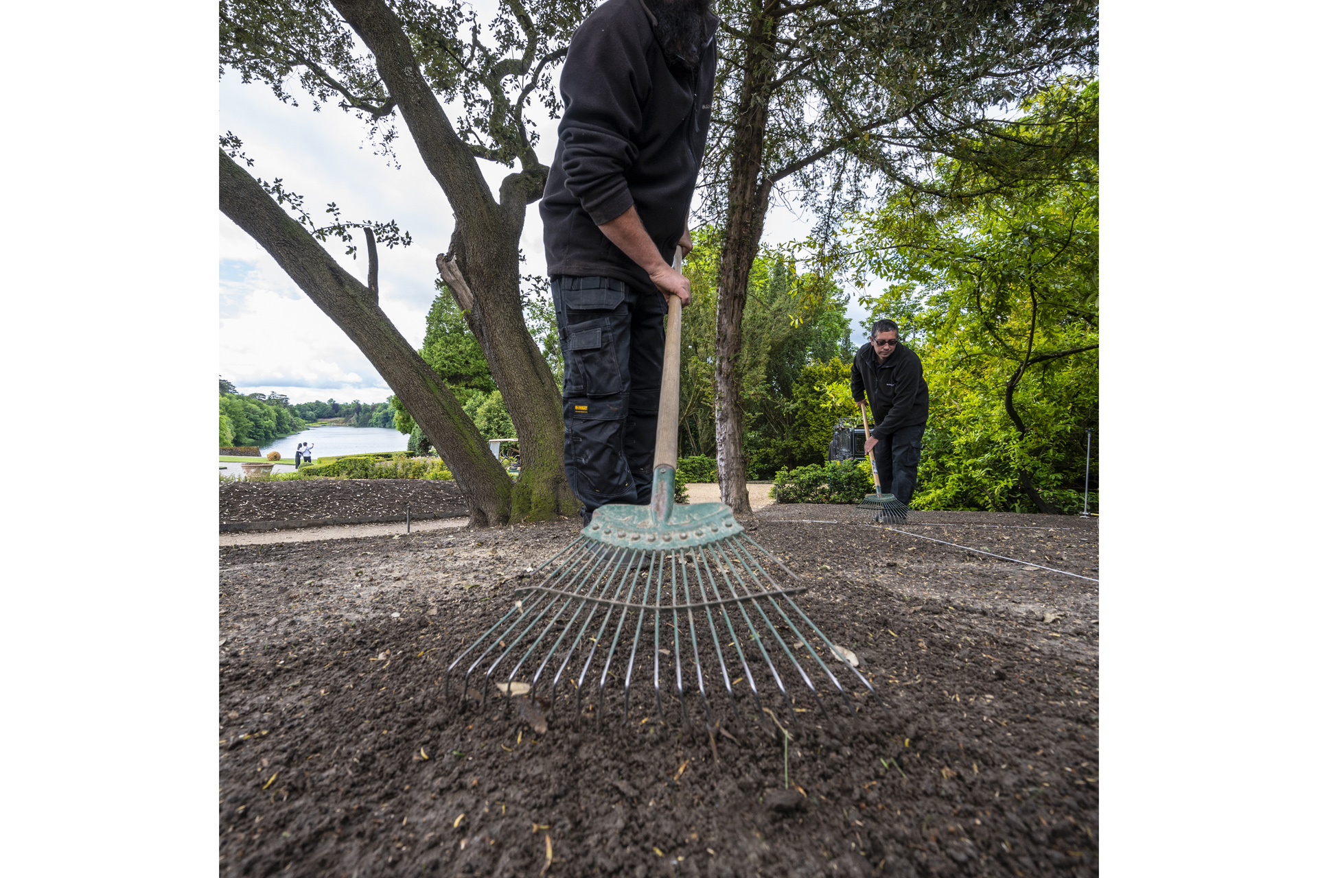 A gardener with a rake planting seeds