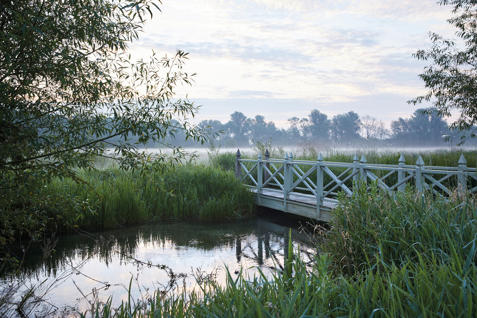 a white bridge over a water meadow