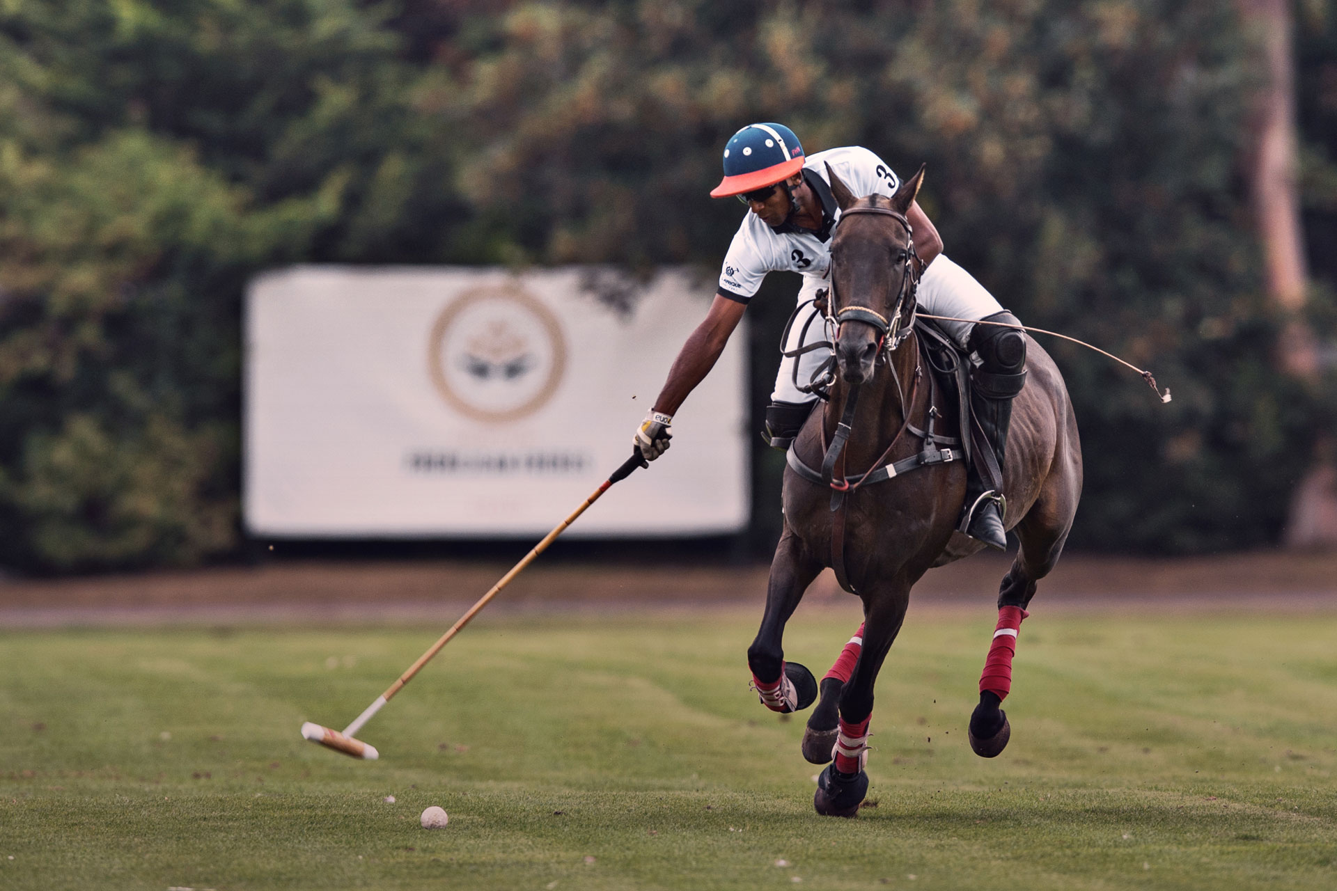 Lux Afrique - things to do in London in July