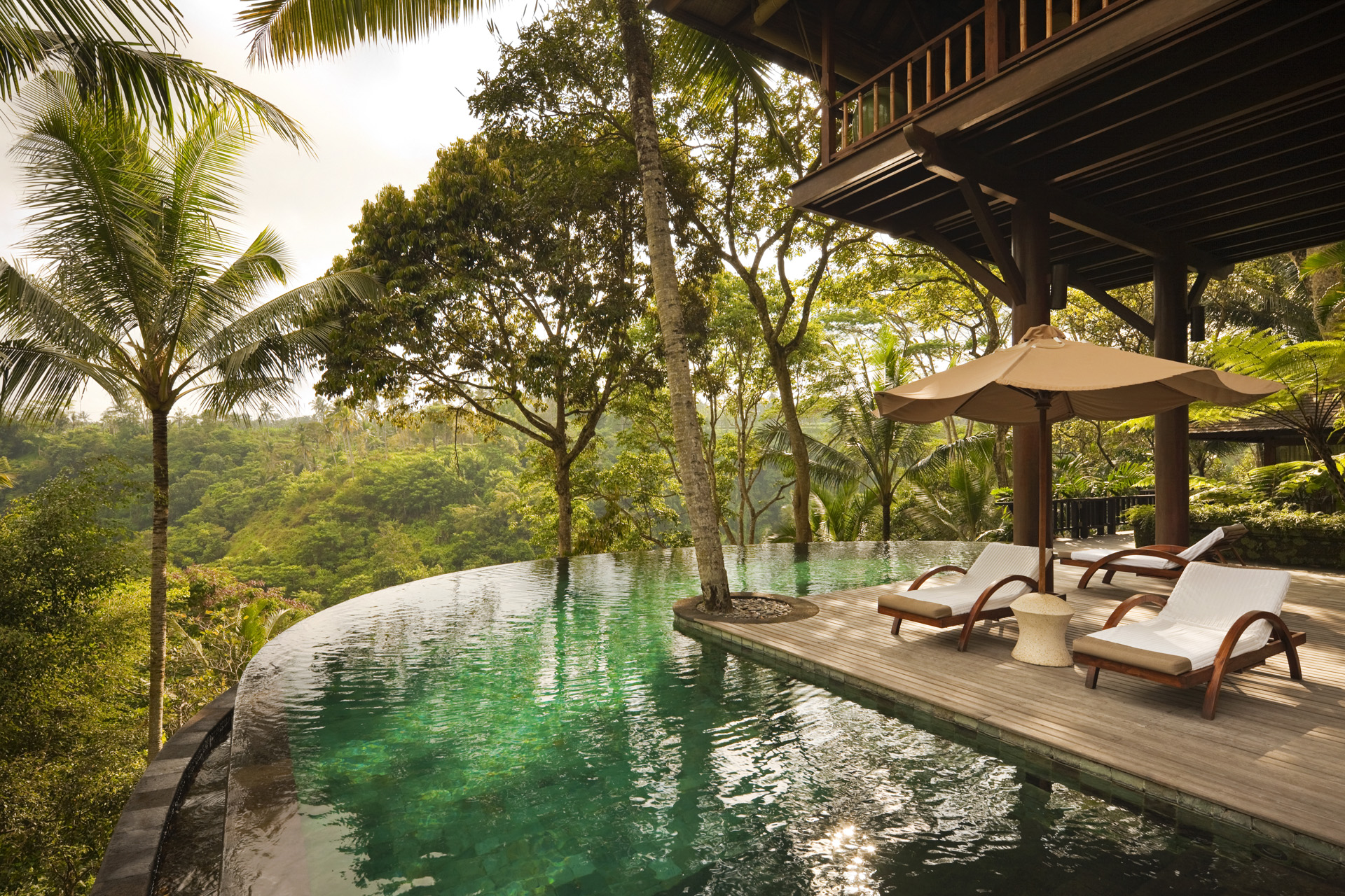 An infinity pool overlooking verdant forest with deck chairs and parasol