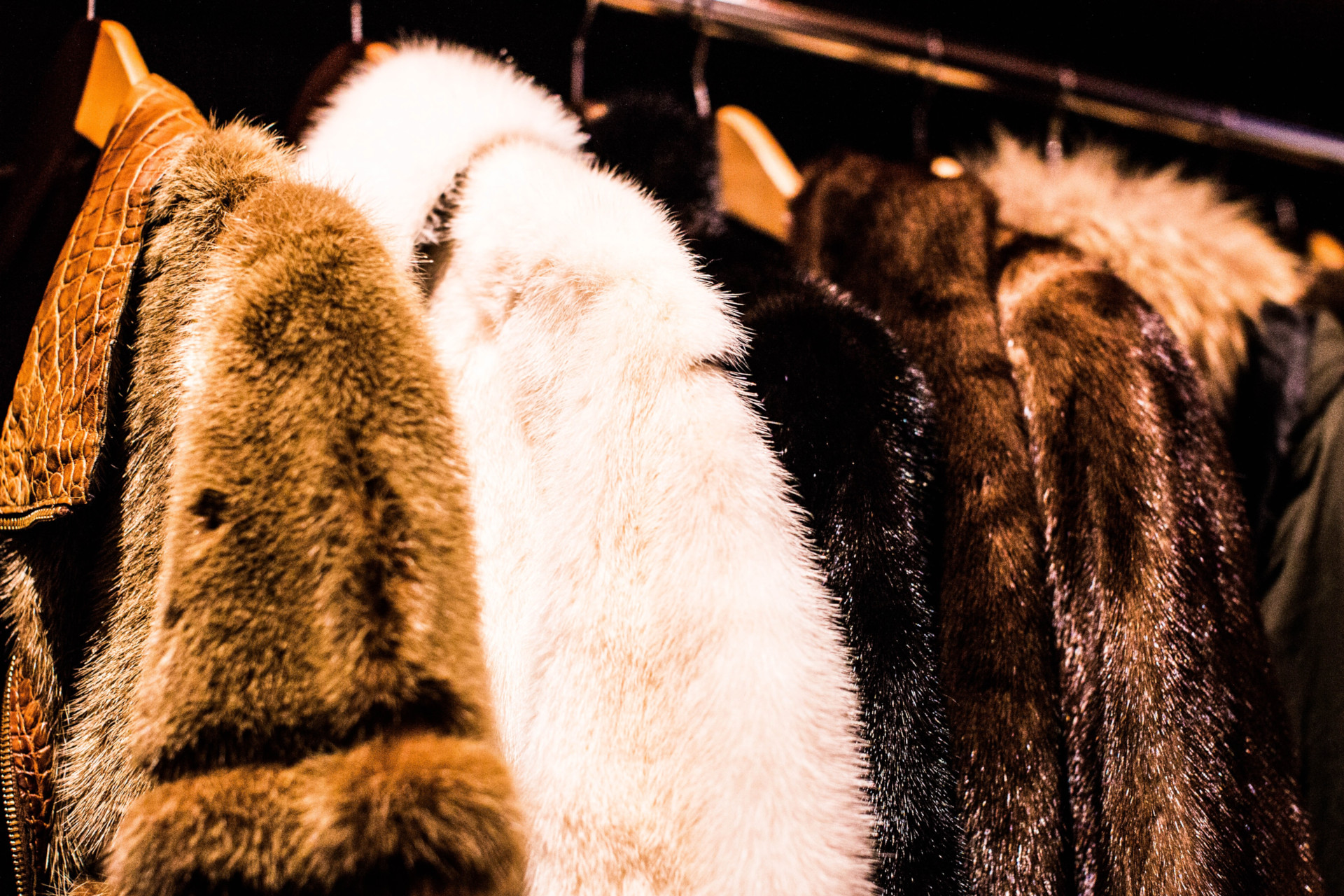Rail of fur coats on shades of brown, cream and black