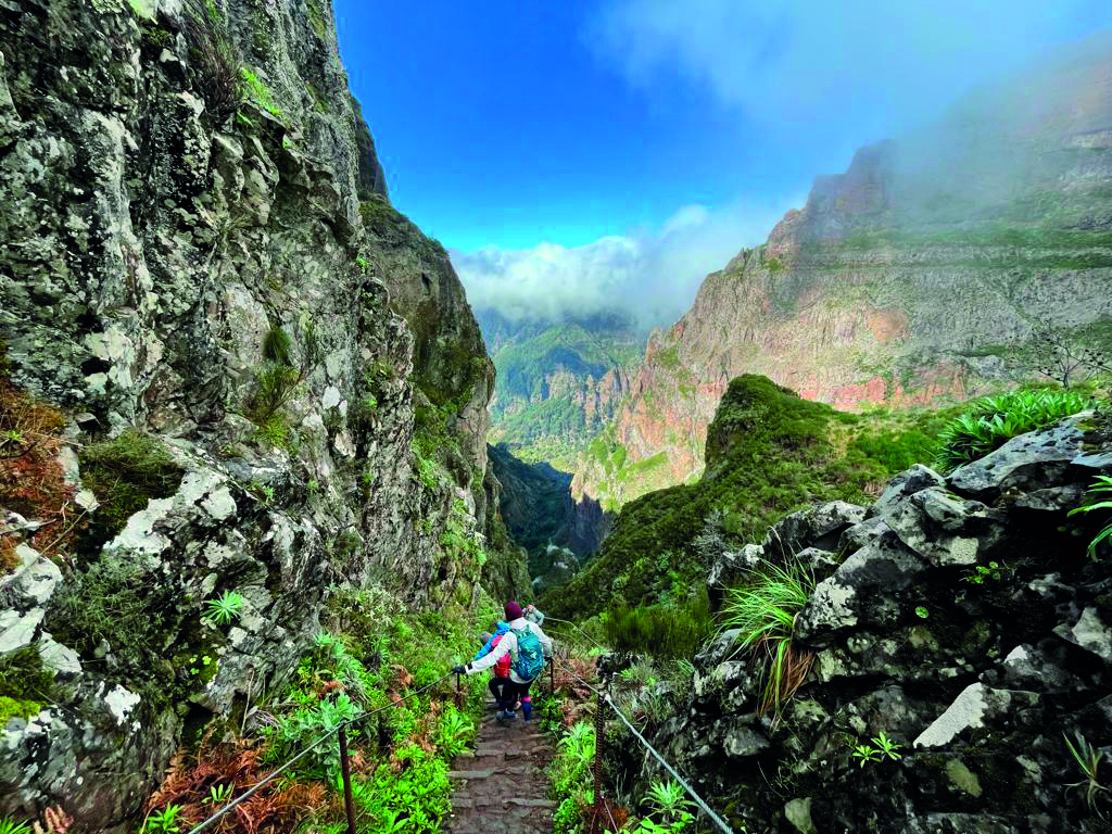 yeotown madeira fitness retreats