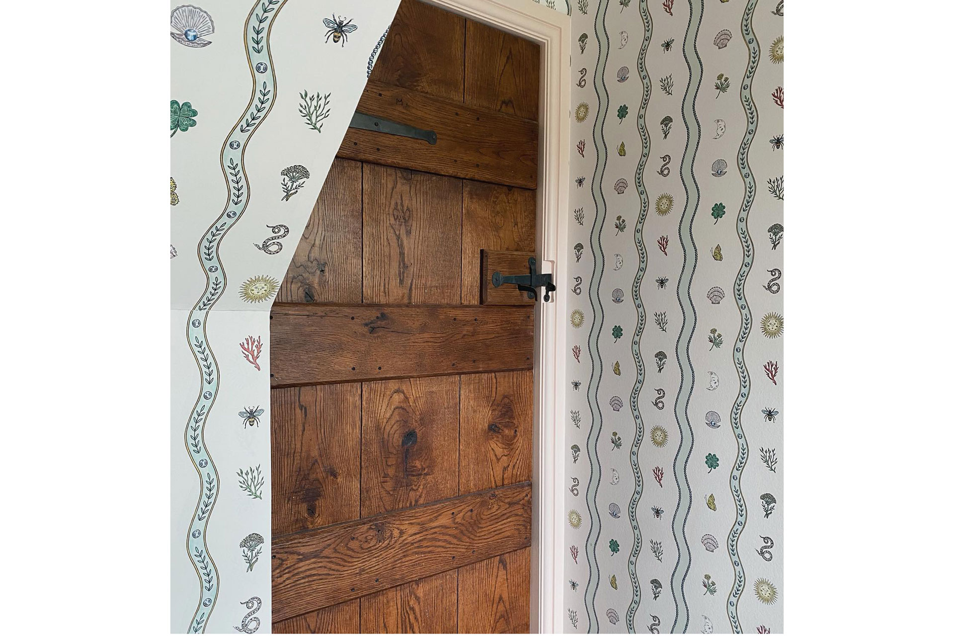 Climbing Curios wallpaper by Fee Greening
