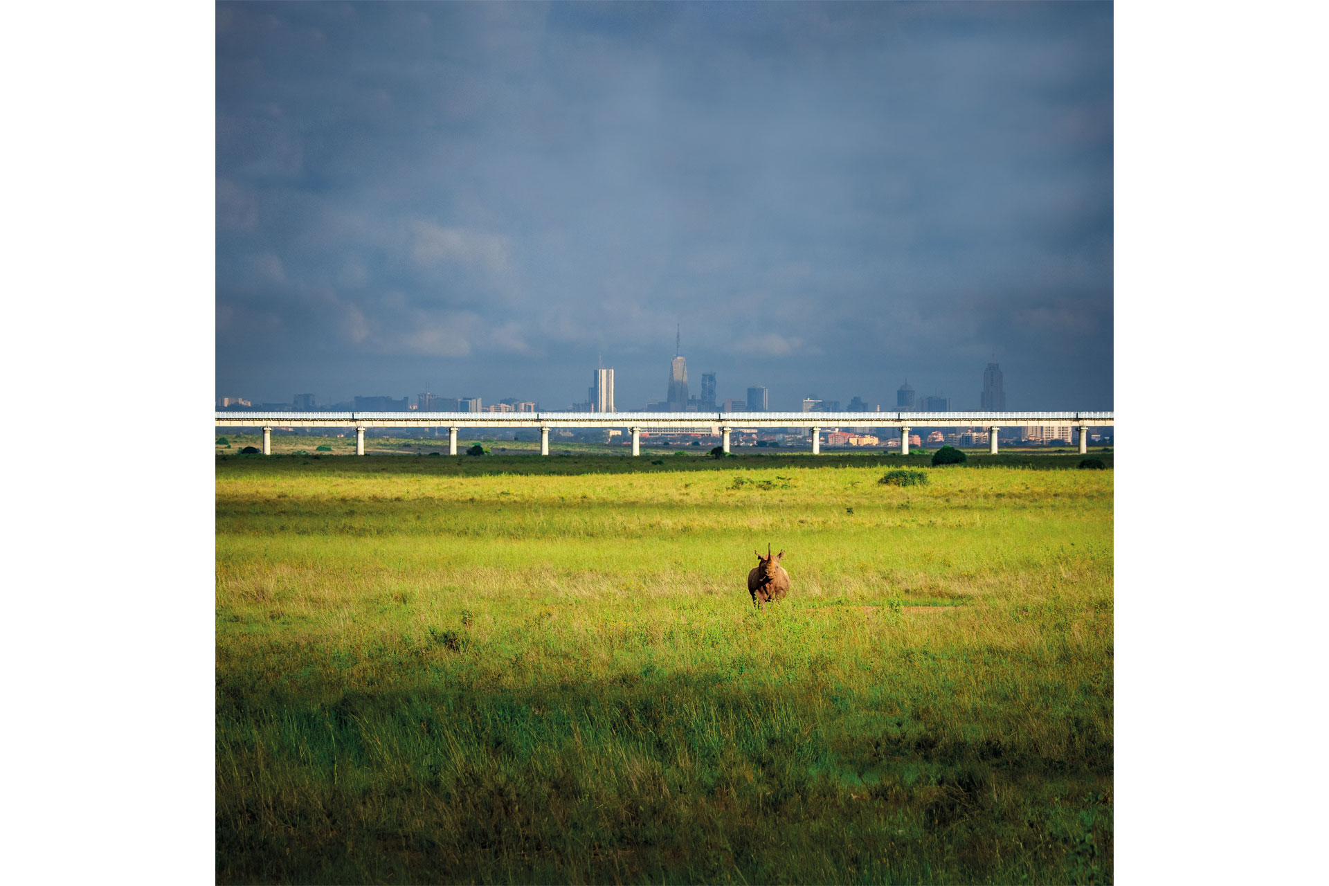 National park with railway