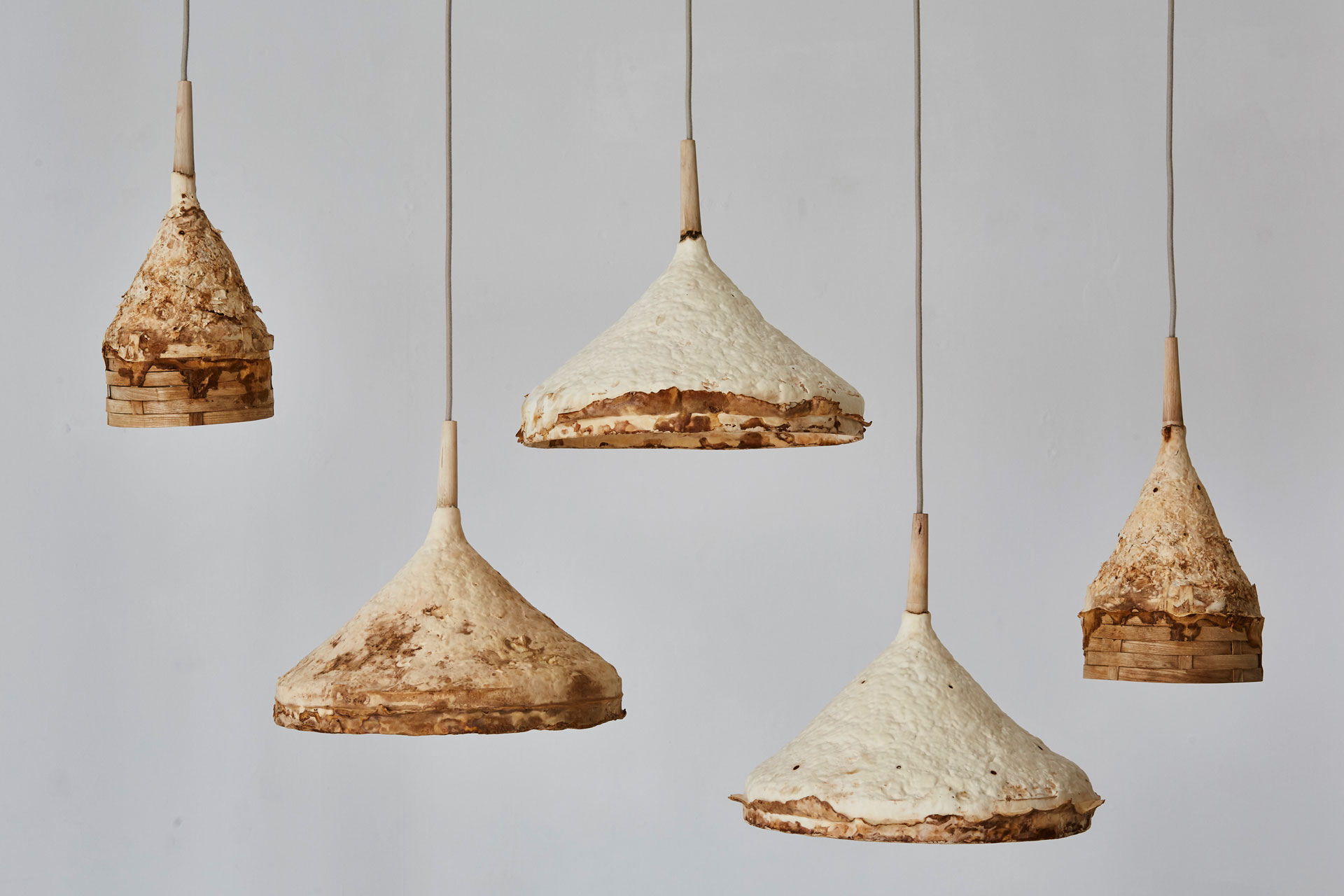 mycelium ceiling lighting by Sebastian Cox