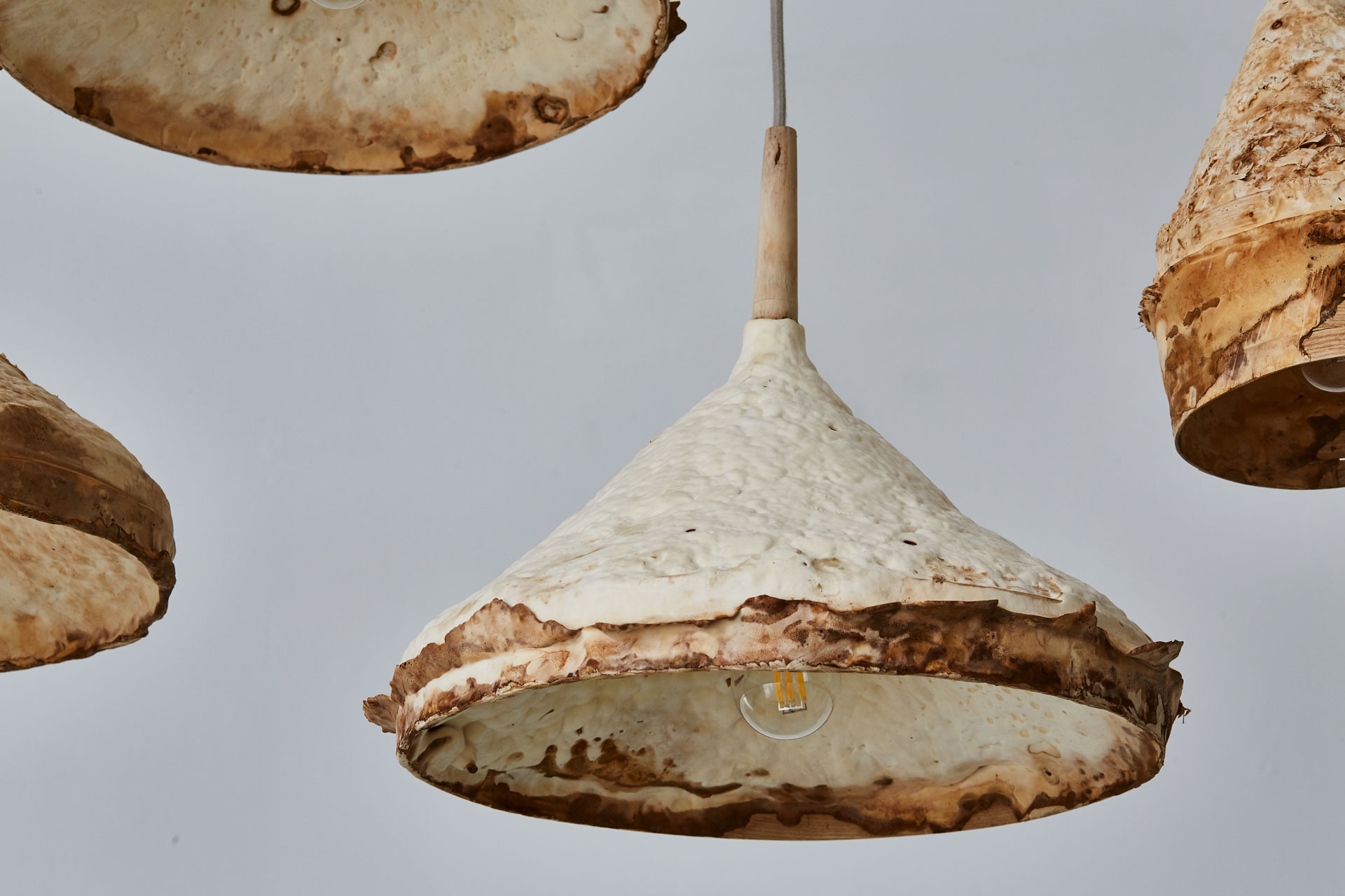 a Sebastian Cox mycelium lamp