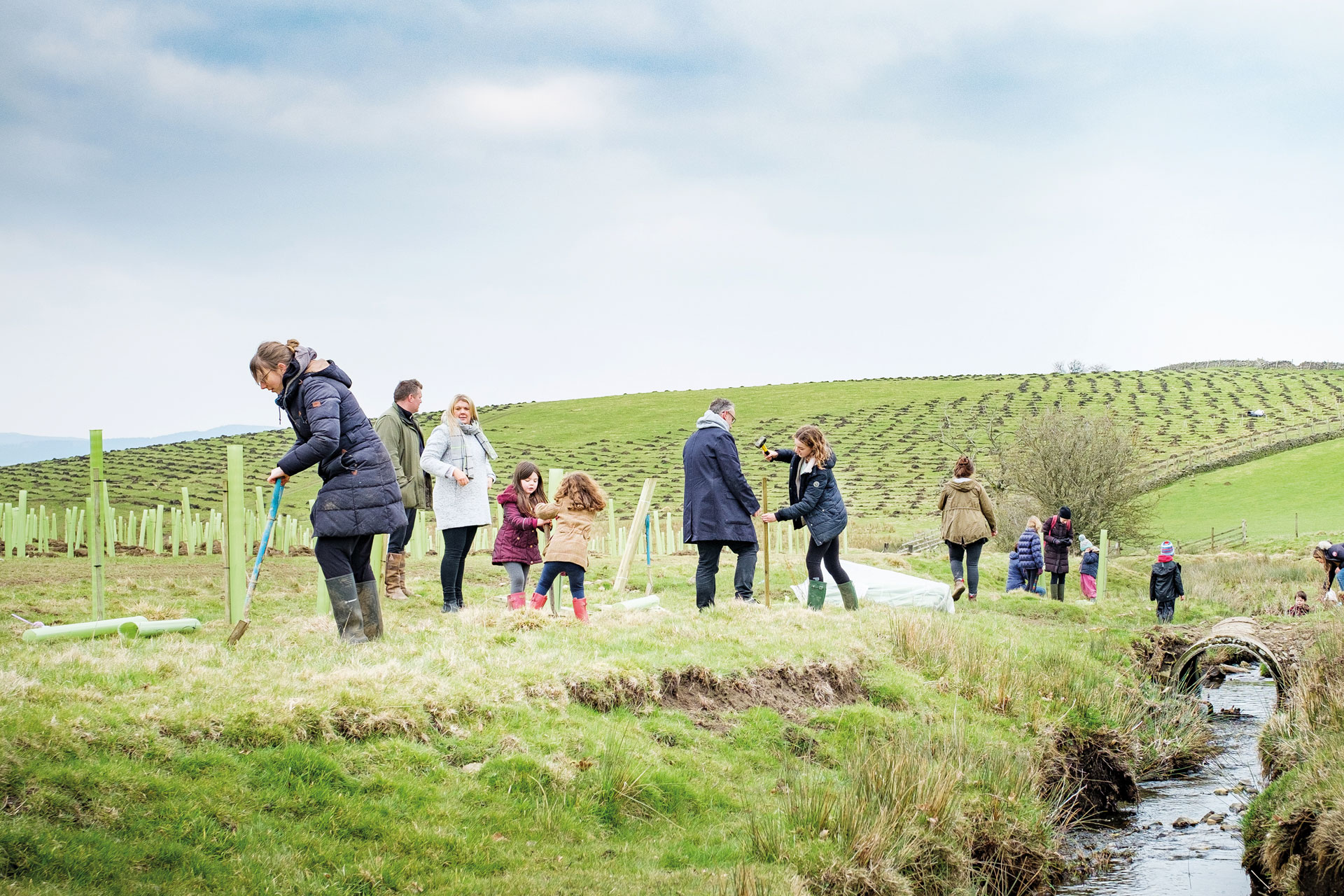 Tree Planting