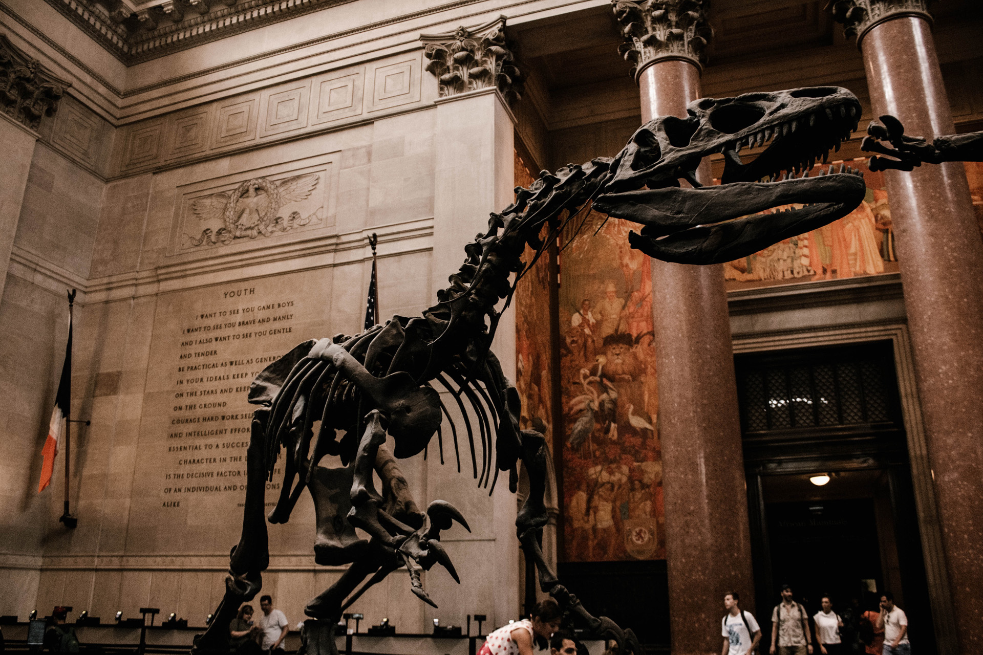The dinosaur in the American Museum of Natural History