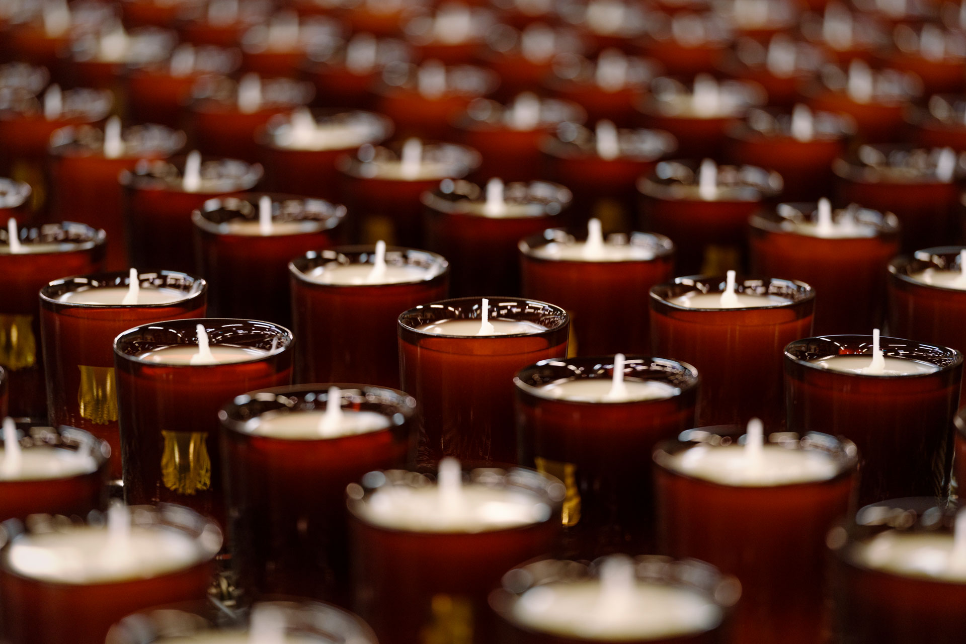 Cire Trudon Candles: How Our Candles Help The Bees