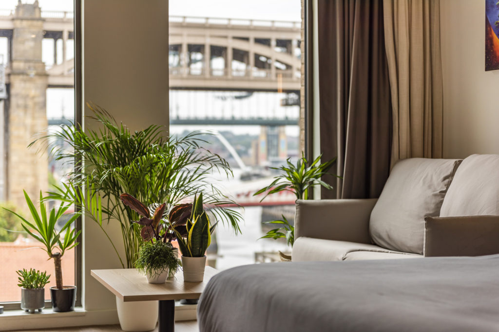 Botanical Bedrooms: Staycation Hotels for Plant Lovers - Travel