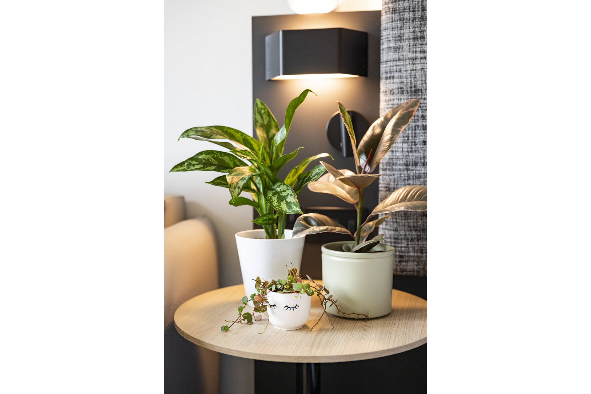 plants on a side table at an INNSiDE Botanical Bedroom