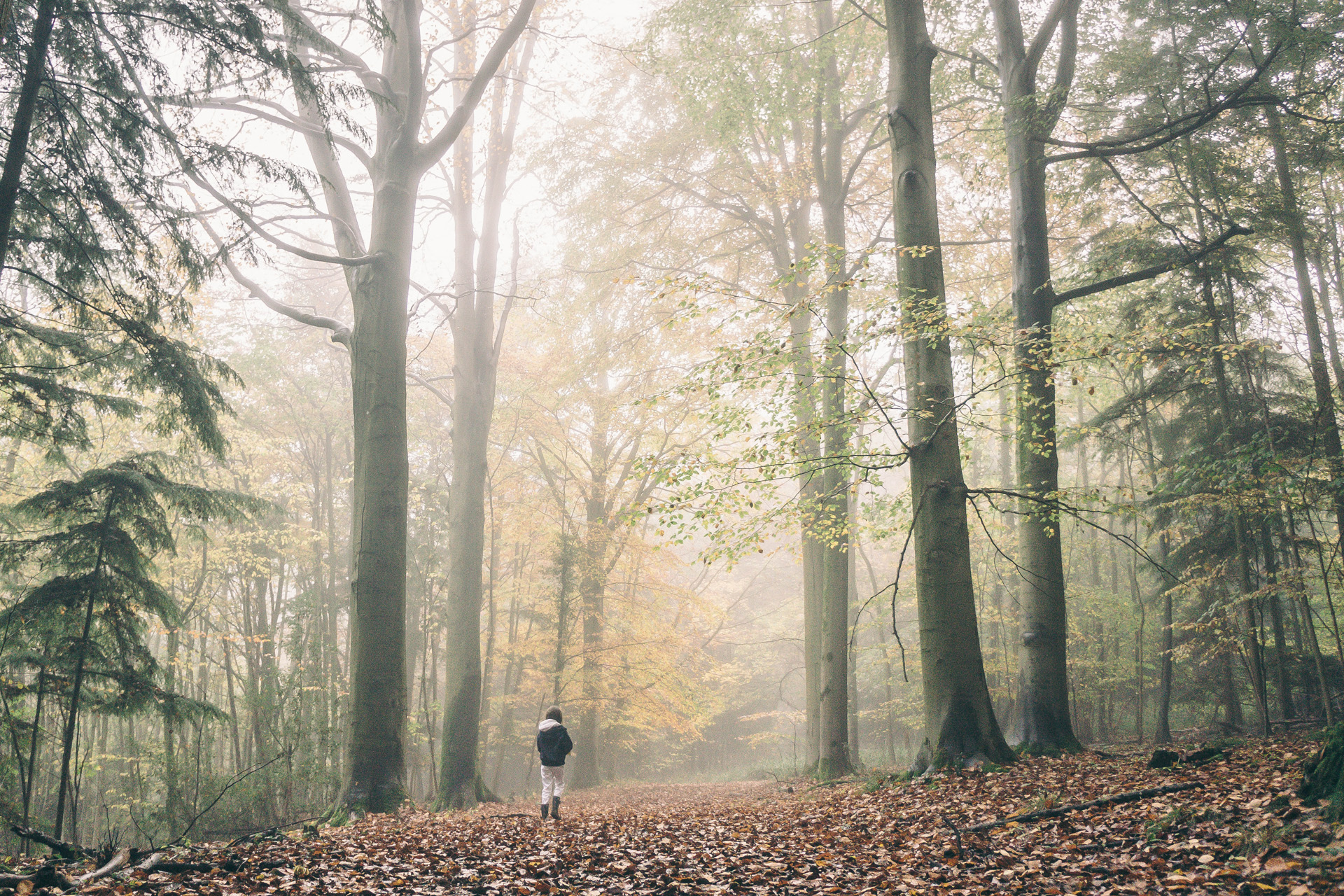 Autumn Staycation: Cosy Rental Holiday Homes to Hunker Down In