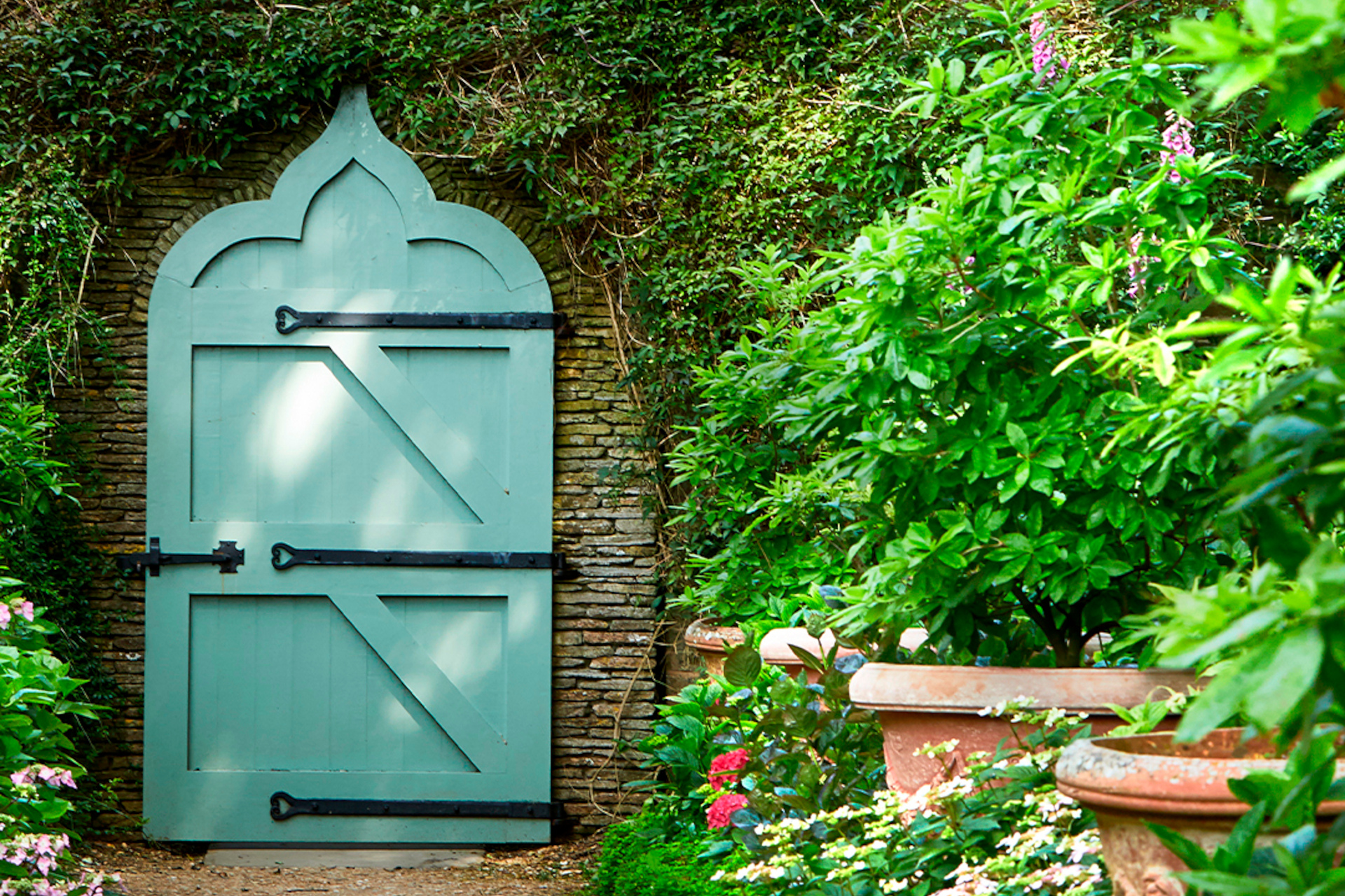 Blue door in a garden