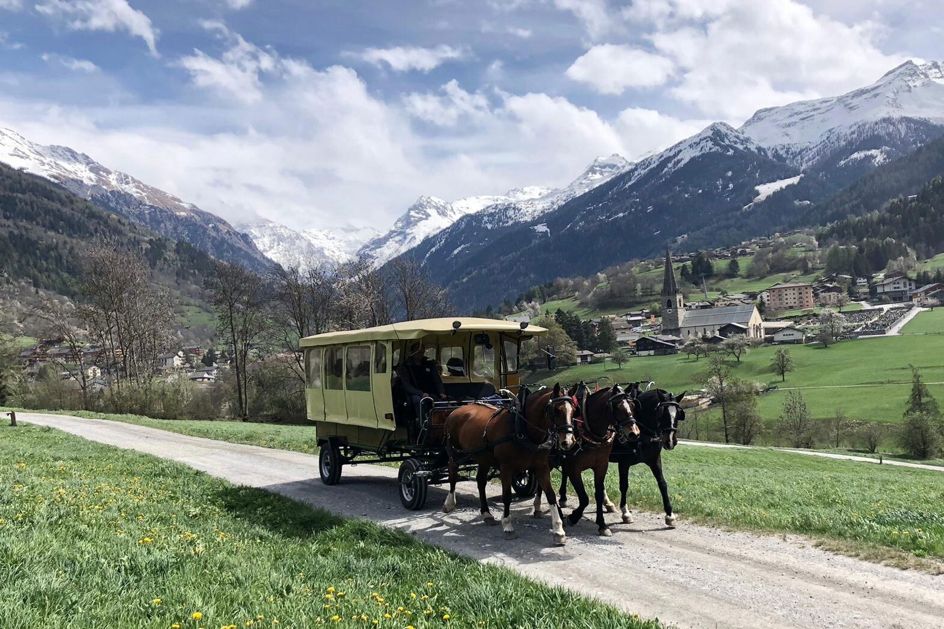 Horse and cart fondue Ferme des Moulins