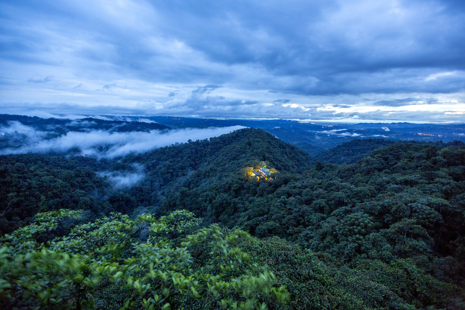 Mashpi Lodge Celebrates the Discovery of 10 New Species in 10 Years