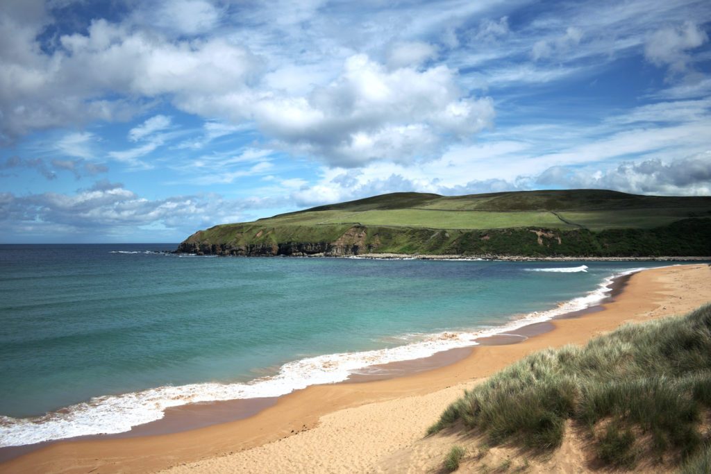dark green grassland jutting out into the sea