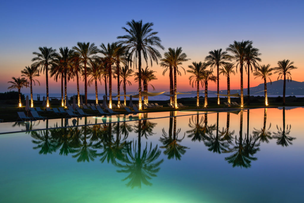 palm trees reflected in the water