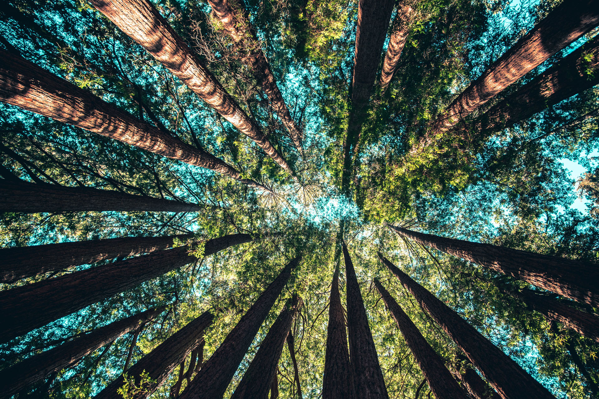 Eco Retreats Near London To Book For Spring