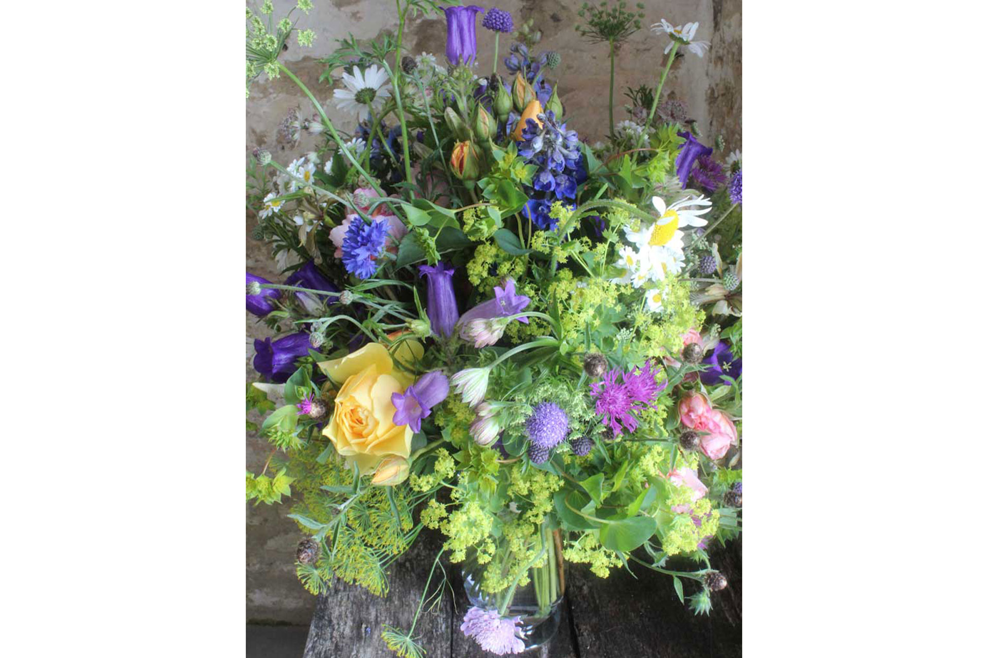 a wild spindly bouquet Common Farm Flowers