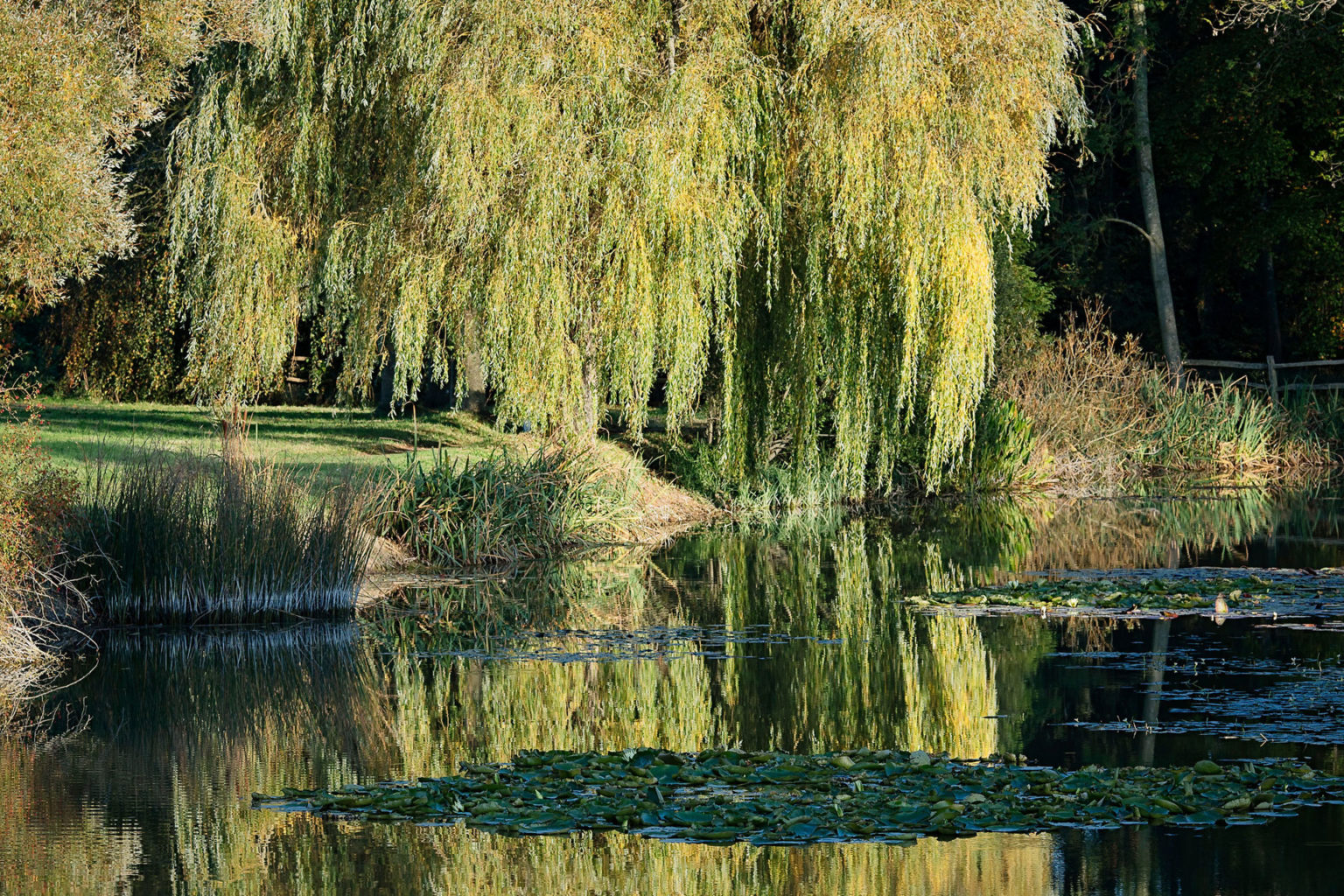 Glyndebourne Open Gardens is Back for the Autumn Interiors