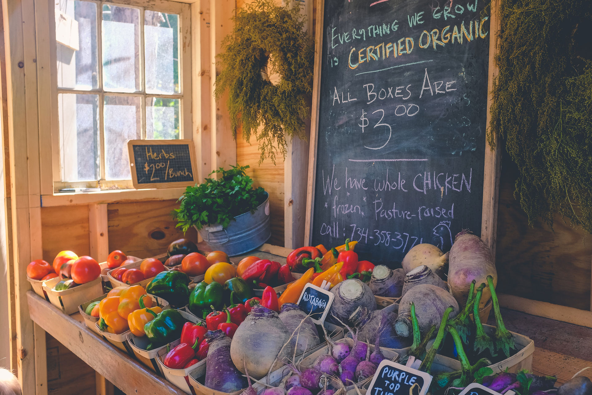 Organic food shop