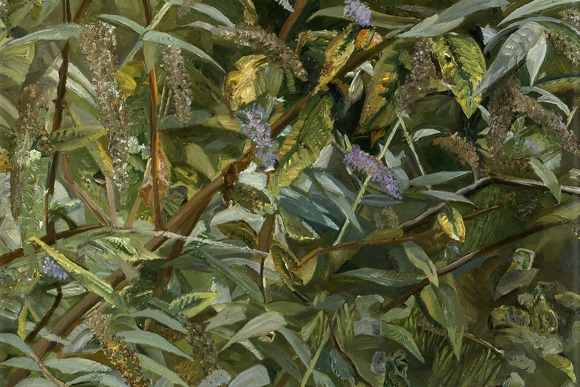 a painting of leaves by Lucian Freud, which is the cover of Phadion's new book about the 20th Century artist