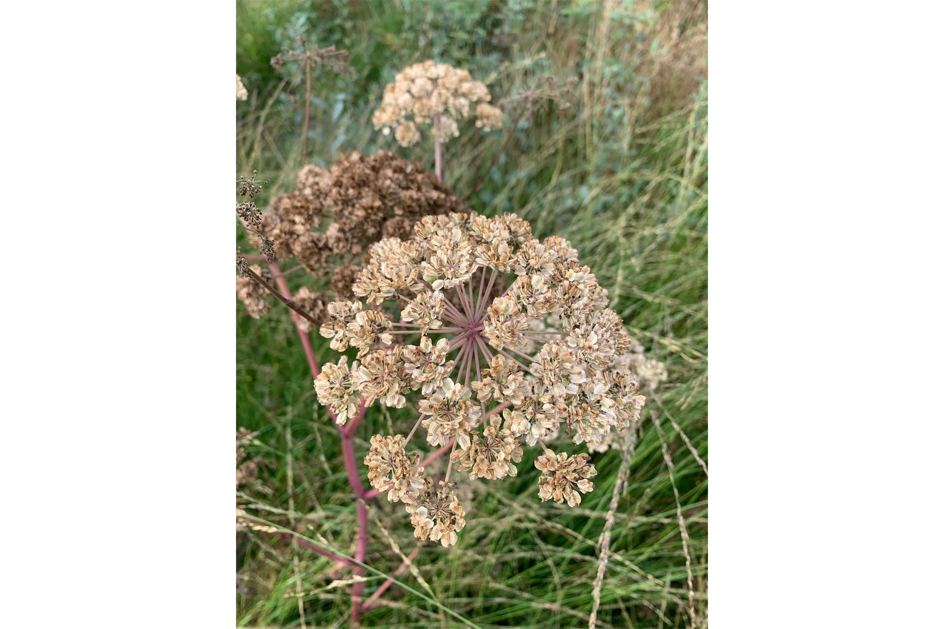 Katherine May's images of September
