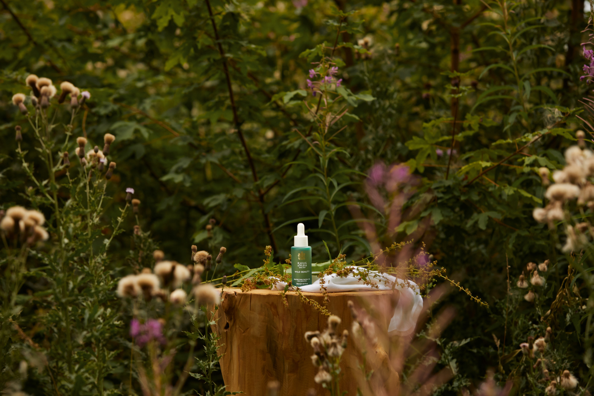 Rhug Wild Beauty products set on tree stump in woods