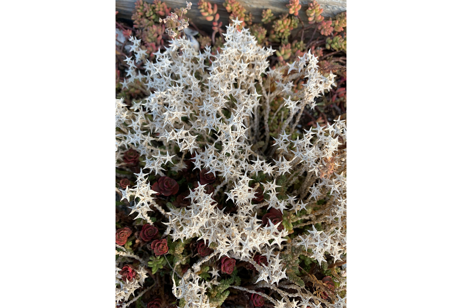 Katherine May's images of September