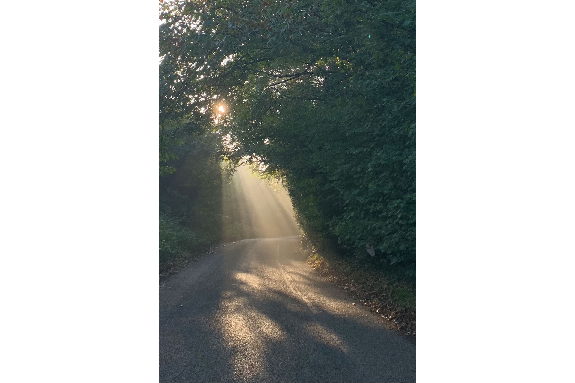 Katherine May's images of September