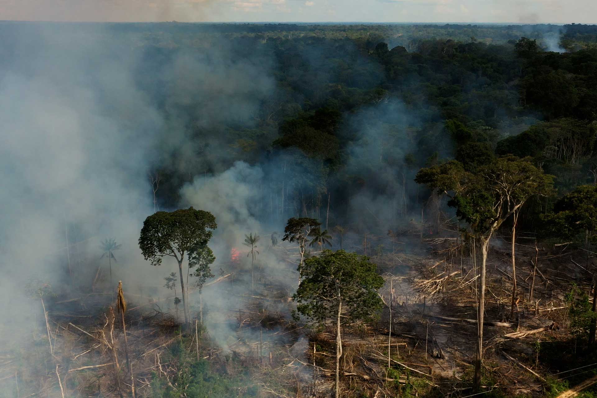 Image of deforestation from SLAY documentary film