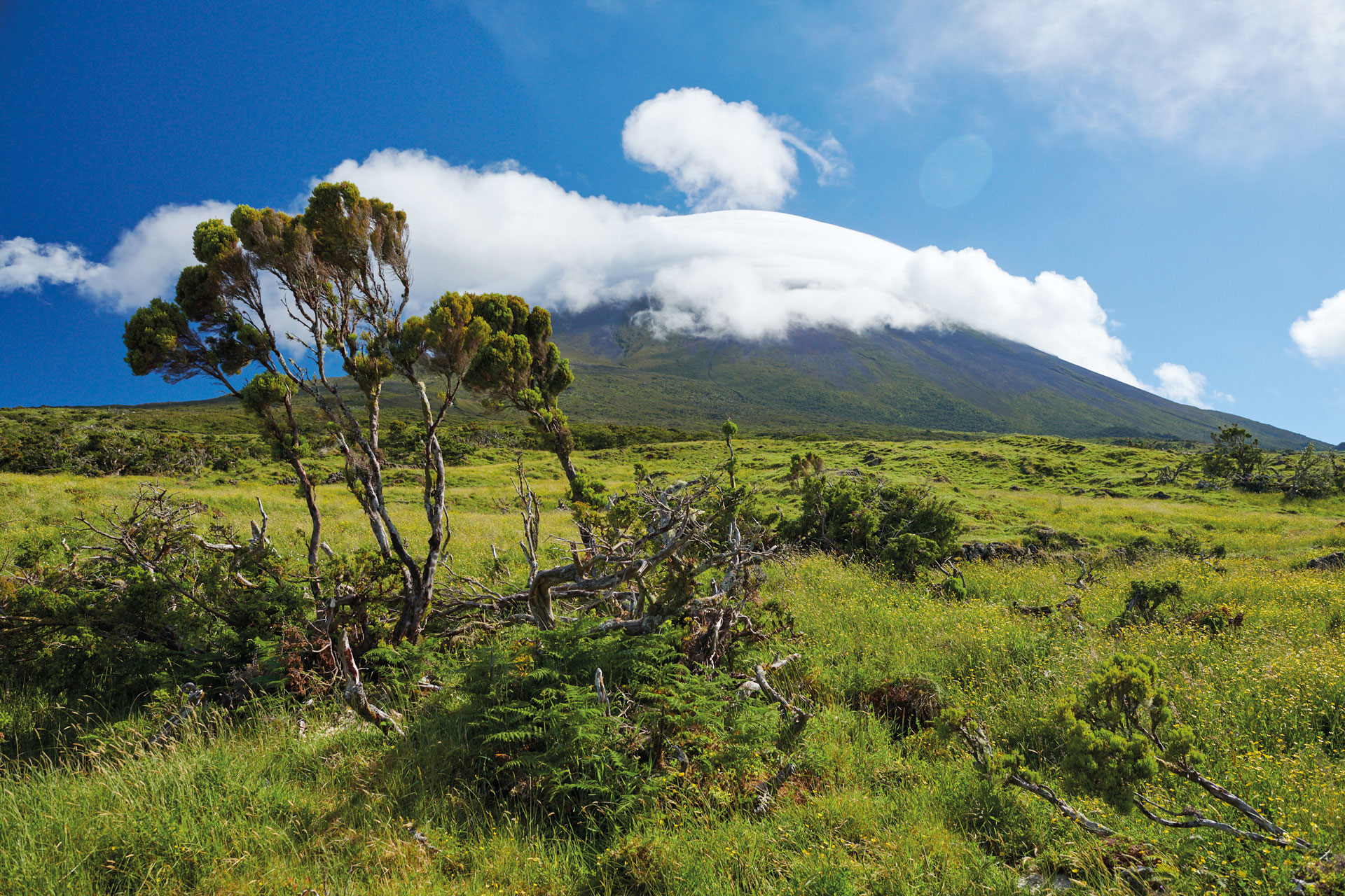 Bright sunny day with clear clouds and green hills