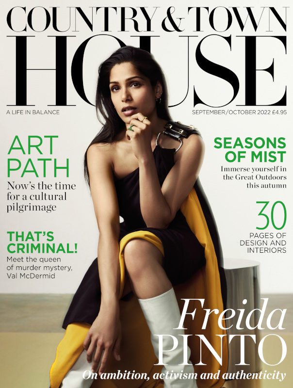 Freida Pinto