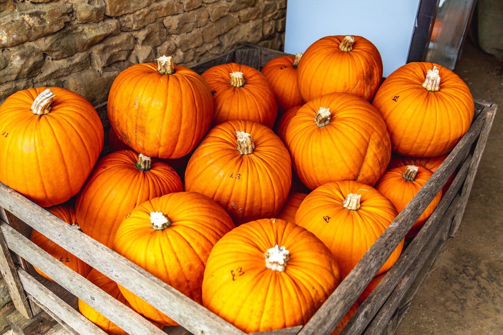 Vibrant orange harvested pumpkins in wood box for sale on country market in Oxford, United Kingdom