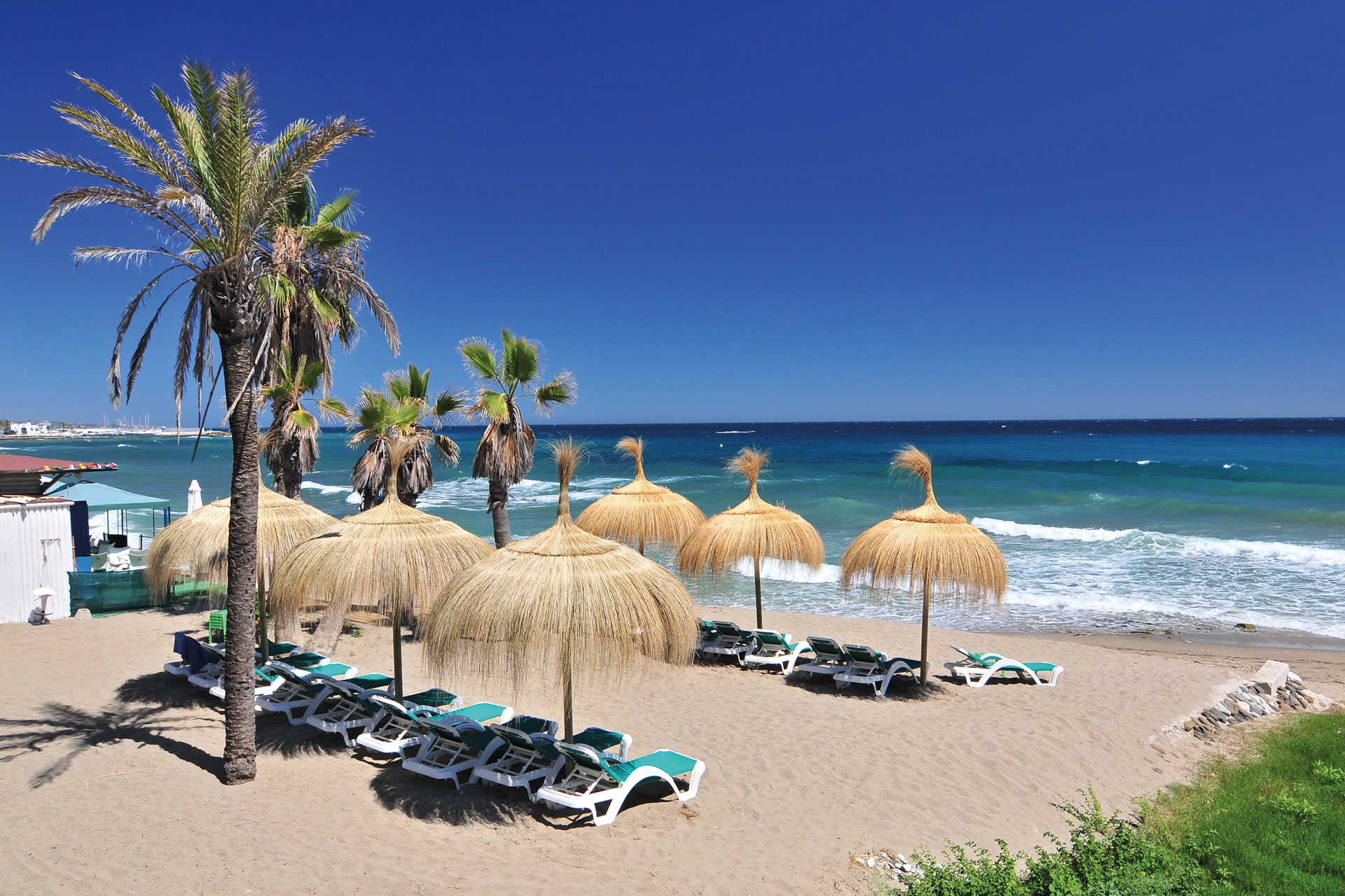 Beach front with straw umbrellas above sunbeds 