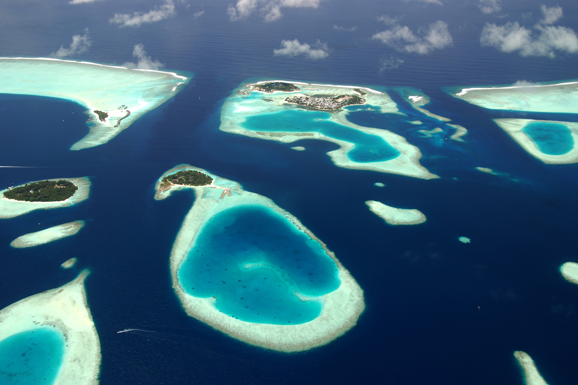 Maldives: The Best Resorts For Wildlife Spotting