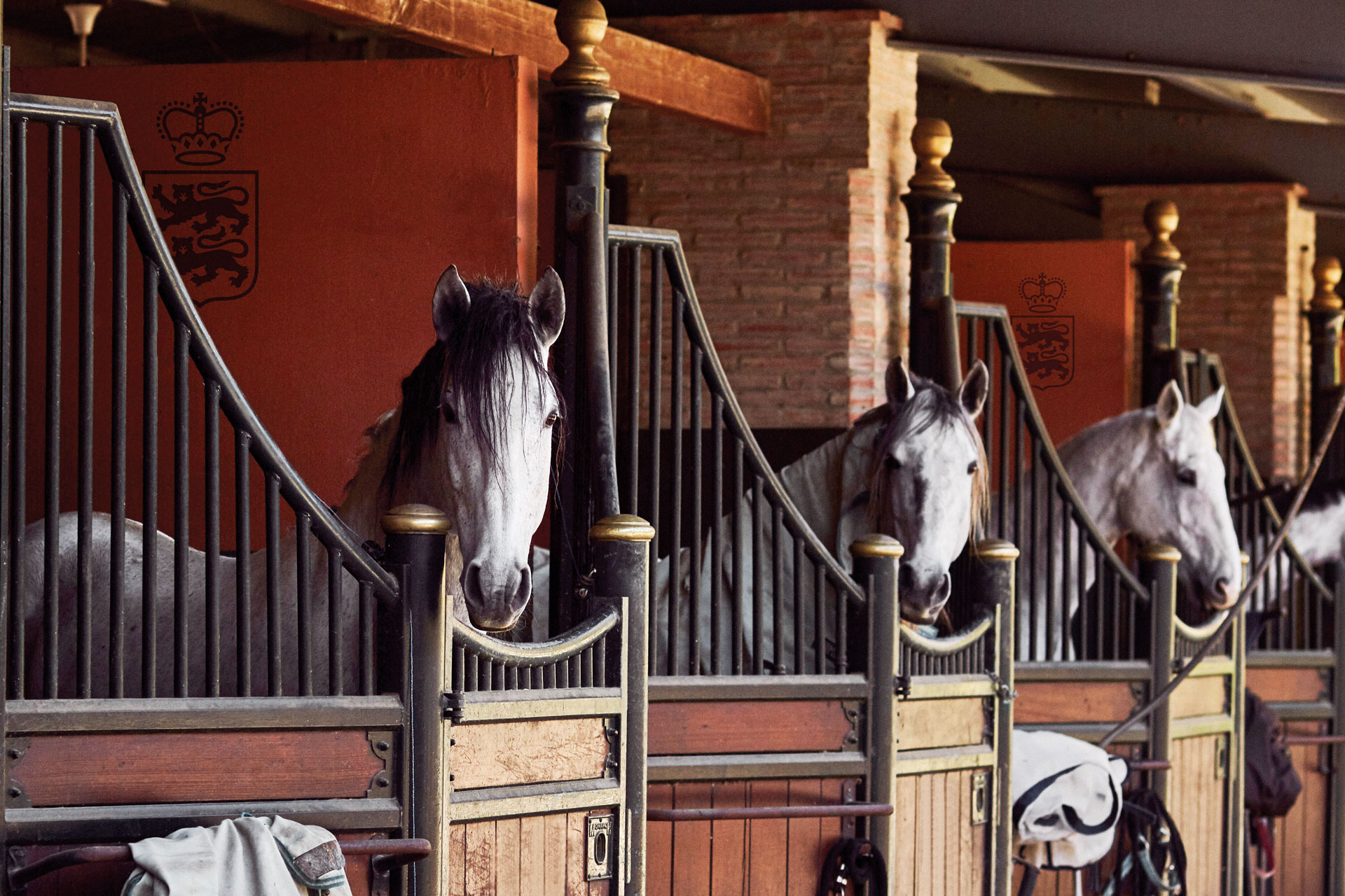 Two horses looking out of barn with head over gate