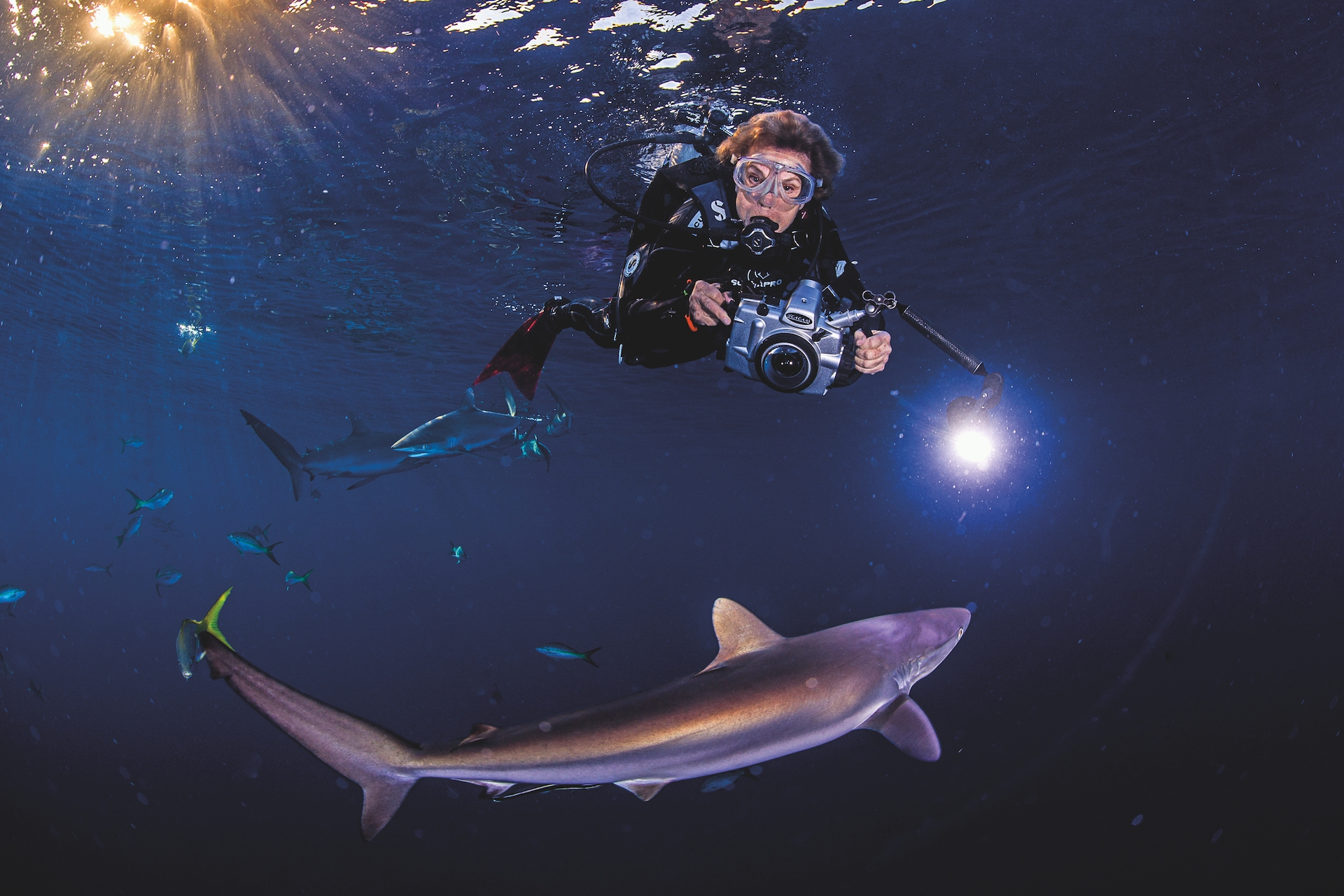 Dr Sylvia Earle diving with shark; Michael Aw