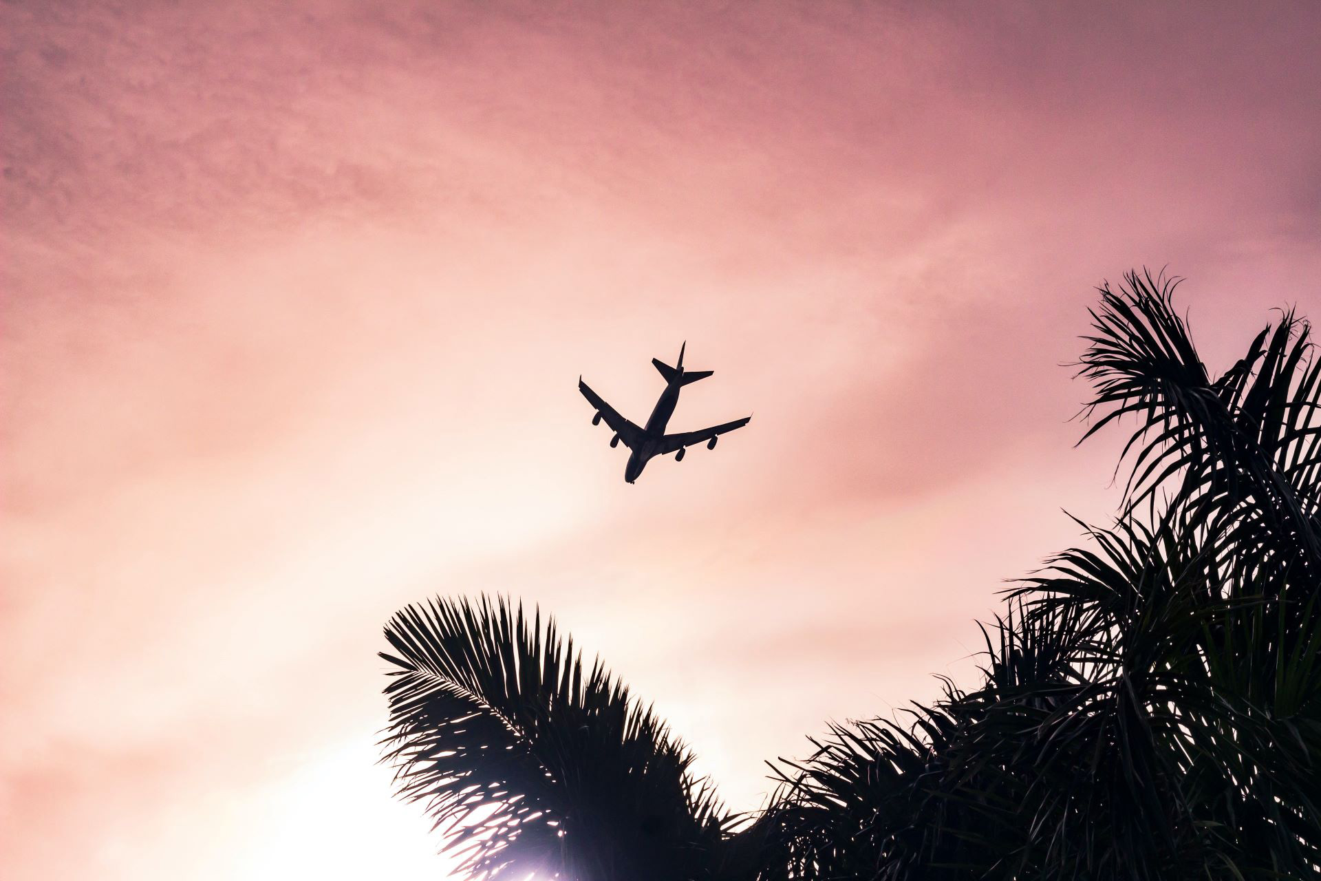 pink sky with airplane