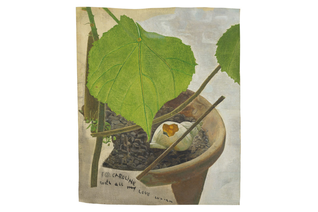 Still Life with Zimmerlinde, c.1950 by Lucian Freud, that's part of the new exhibition: The Garden Museum