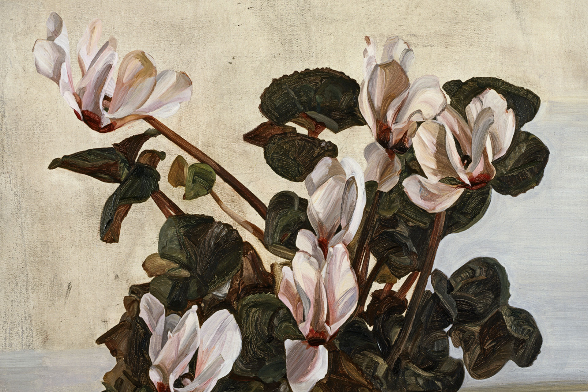 Lucian Freud's painting of the flower, cyclamen, is part of a new exhibition called, The Garden Museum