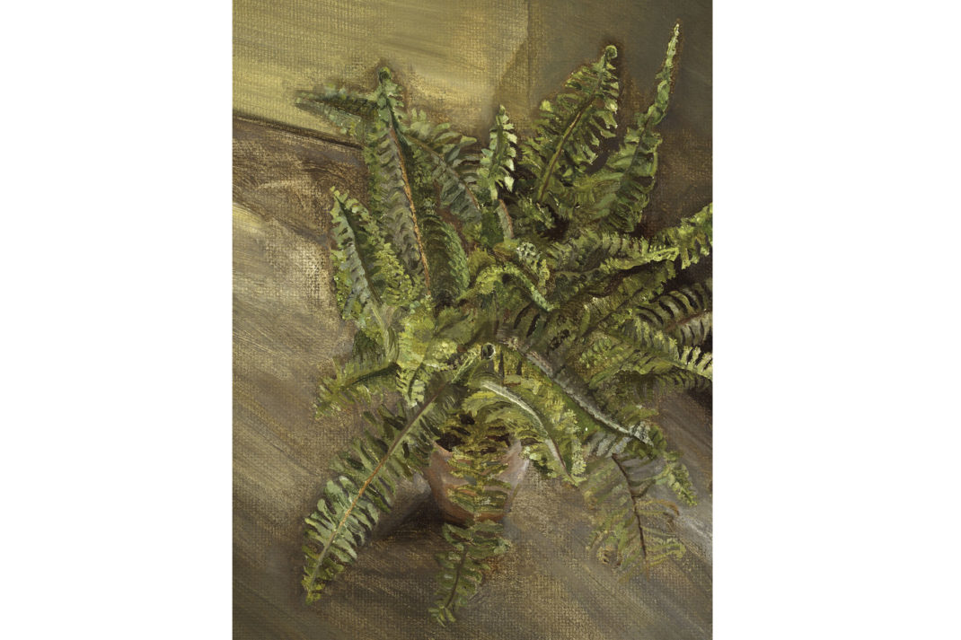 Small Fern , 1967 (oil on canvas) Freud, Lucian (1922 - 2011) Private Collection © The Lucian Freud Archive, Bridgeman Images