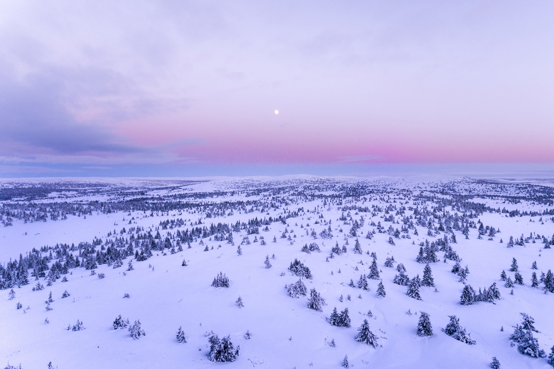 Active Winter Holiday Ideas: 8 Ways To Enjoy The Cold
