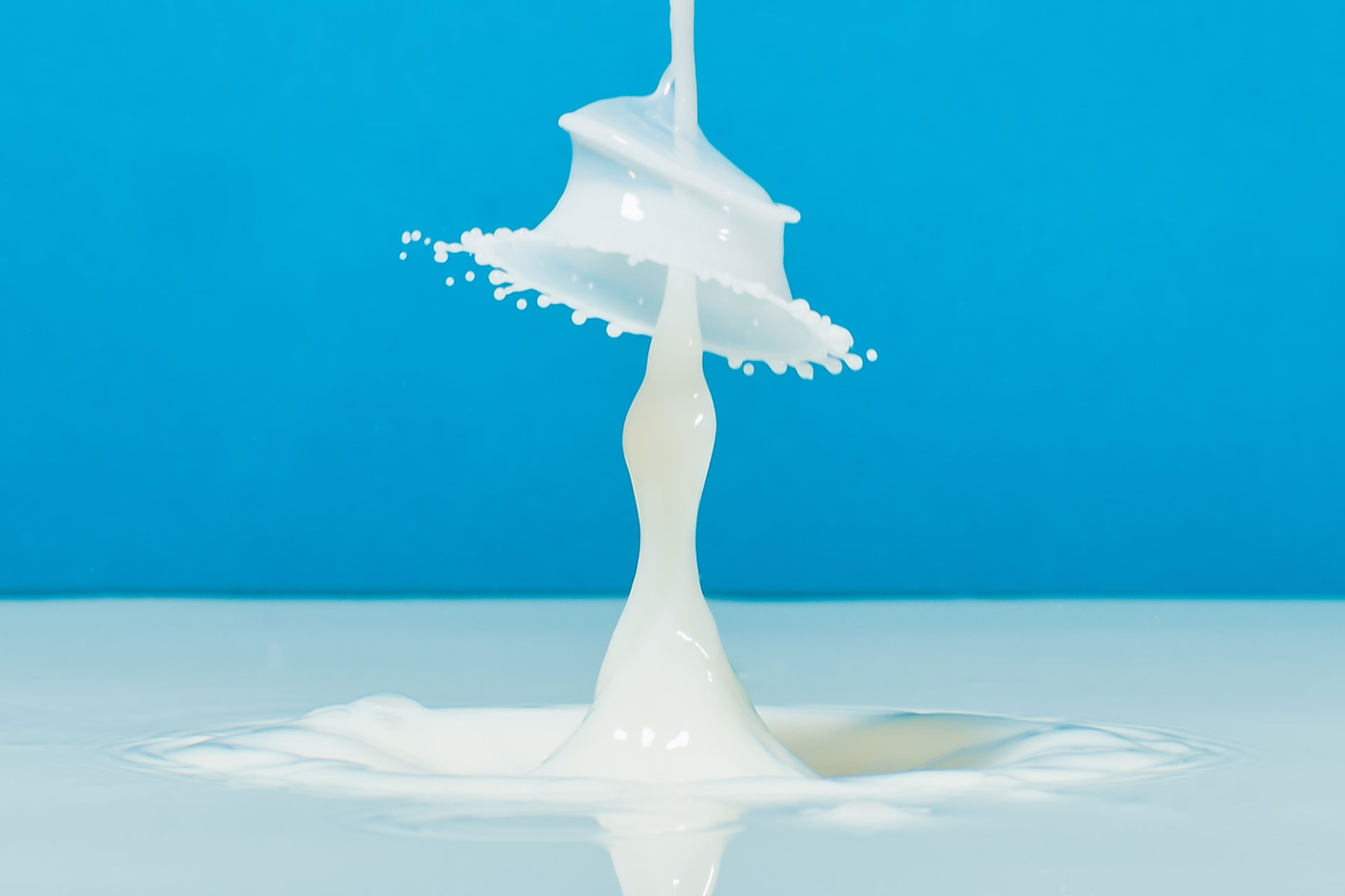 Milk being poured over a blue background